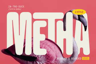 Metha Font: Design Projects & Creative Applications