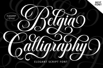 Explore the Belgia Calligraphy Font Style